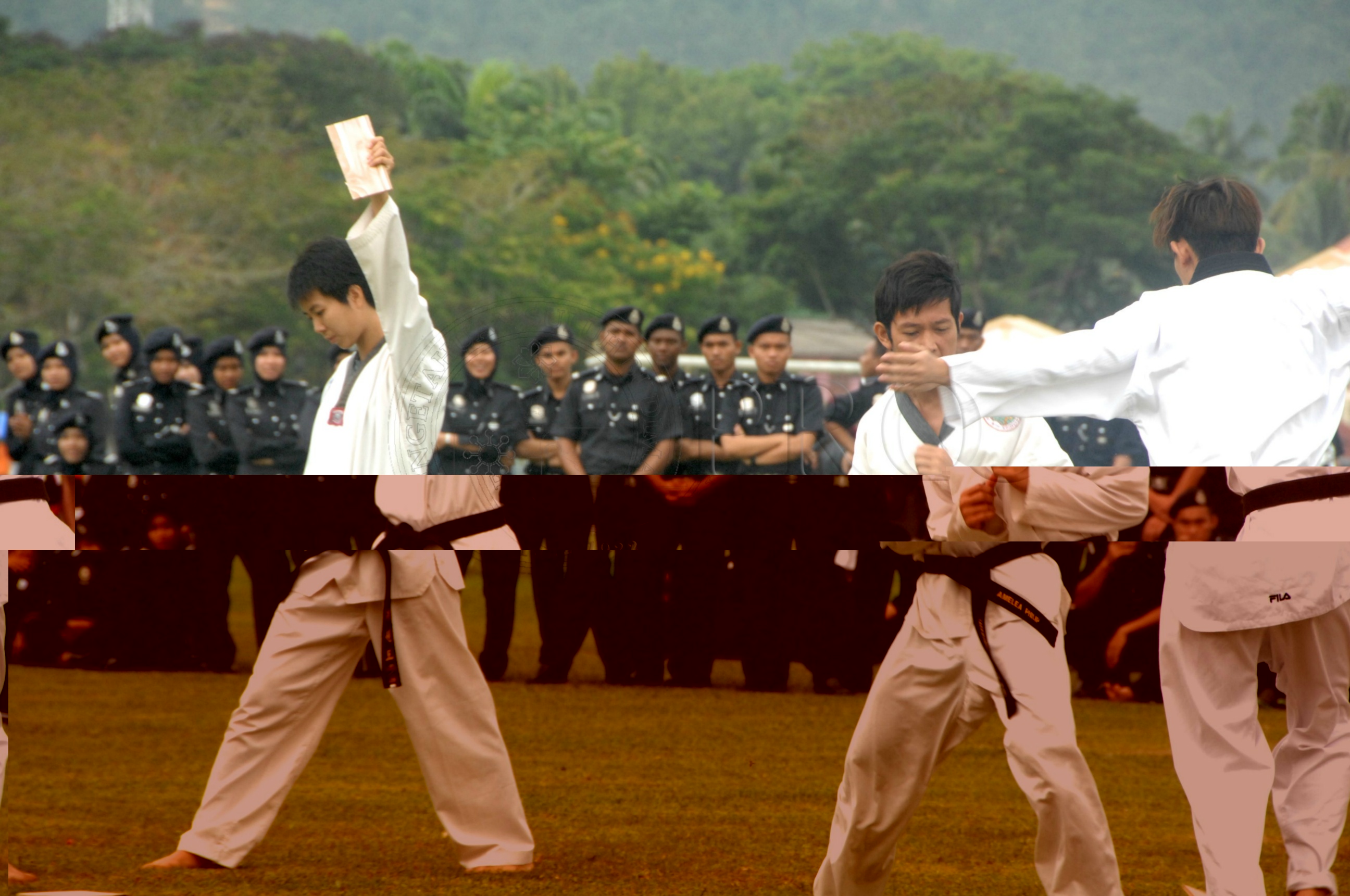 PRO 14 43 KKO IDA 1003